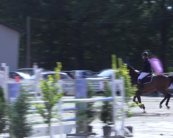 Reitturnier Olfen-Vinnum 2016