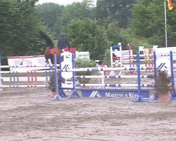 Reitturnier Tangstedt/Pinneberg 2016