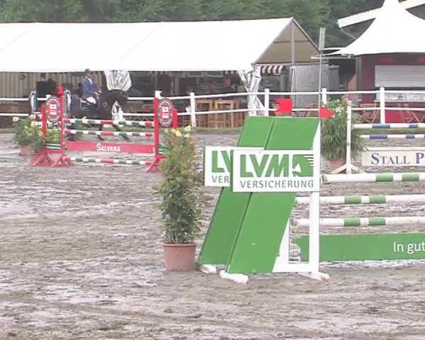 Reitturnier Tangstedt/Pinneberg 2016