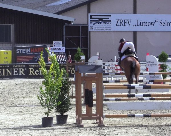 Reitturnier Olfen-Vinnum 2016