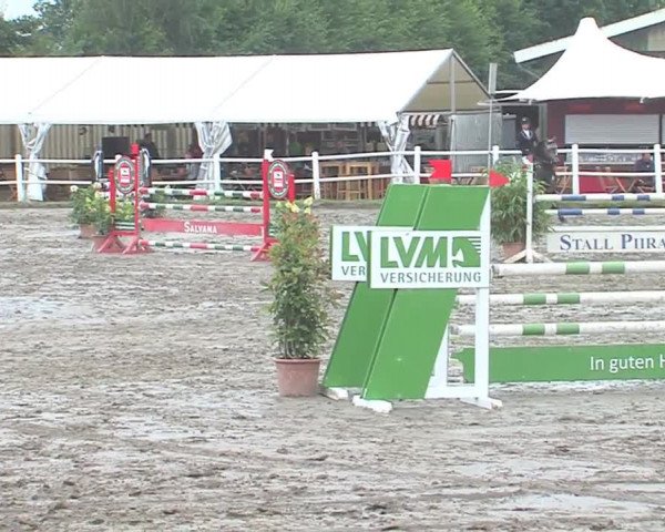 Reitturnier Tangstedt/Pinneberg 2016