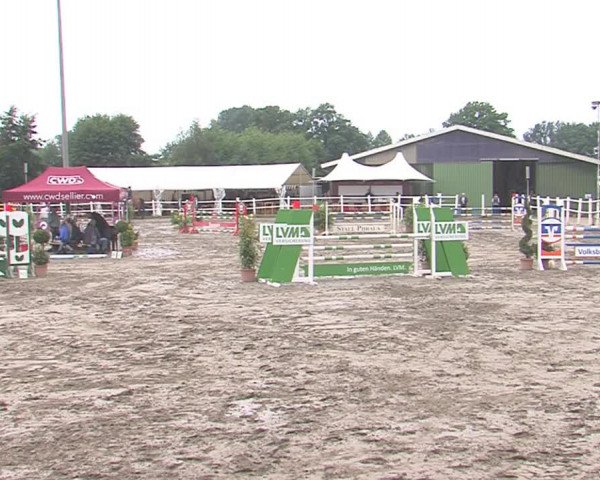 Reitturnier Tangstedt/Pinneberg 2016