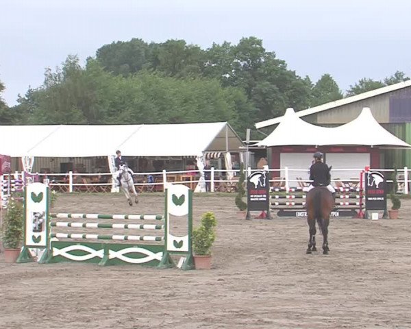Reitturnier Tangstedt/Pinneberg 2016