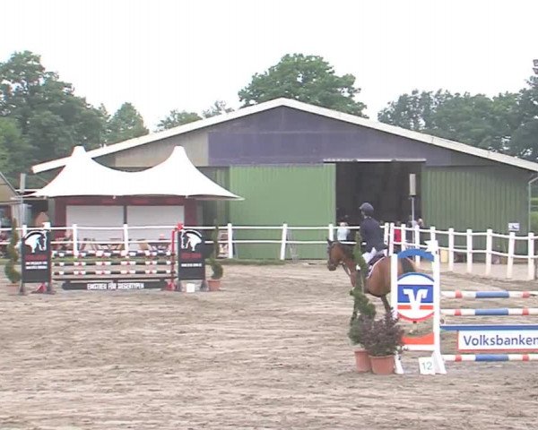 Reitturnier Tangstedt/Pinneberg 2016