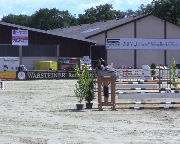 Reitturnier Olfen-Vinnum 2016
