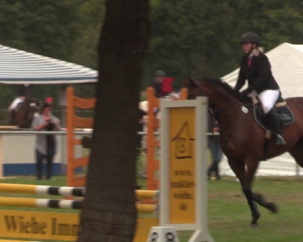 Reitturnier Petershagen-Eldagsen 2016