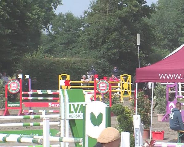 Reitturnier Tangstedt/Pinneberg 2016