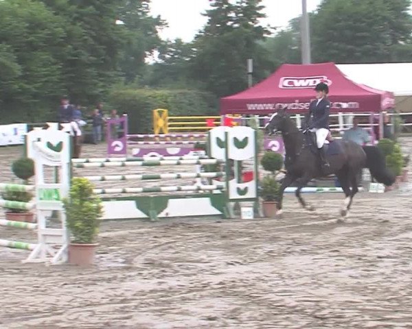 Reitturnier Tangstedt/Pinneberg 2016