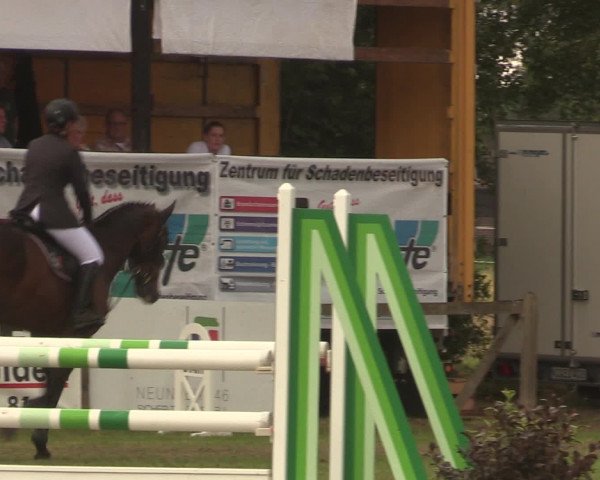 Reitturnier Petershagen-Eldagsen 2016