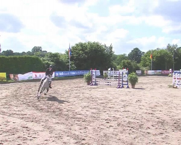 Reitturnier Tangstedt/Pinneberg 2016