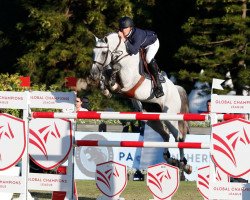 stallion Nevados S (Polish Warmblood, 2008, from Calvados)