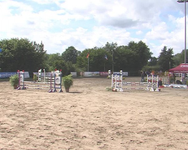 Reitturnier Tangstedt/Pinneberg 2016