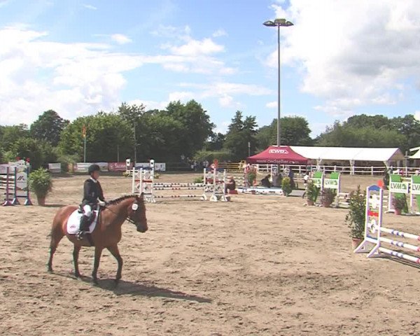 Reitturnier Tangstedt/Pinneberg 2016