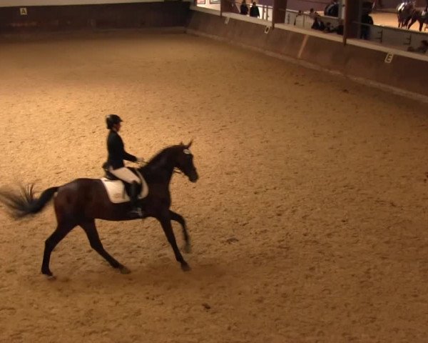Reitturnier Olfen-Vinnum 2016