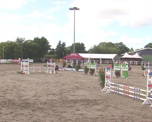 Reitturnier Tangstedt/Pinneberg 2016