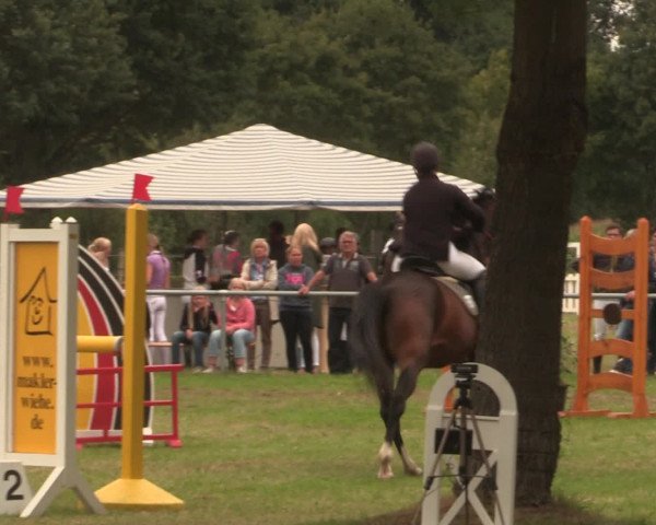 Reitturnier Petershagen-Eldagsen 2016