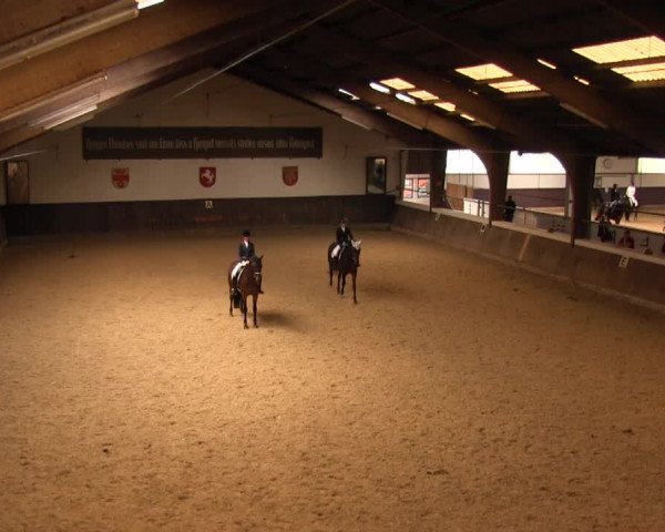 Reitturnier Olfen-Vinnum 2016