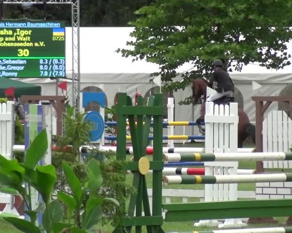 Reitturnier Zobbenitz 2016