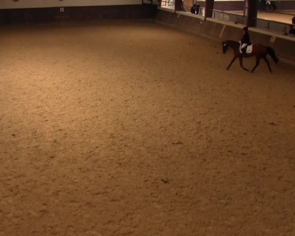 Reitturnier Olfen-Vinnum 2016