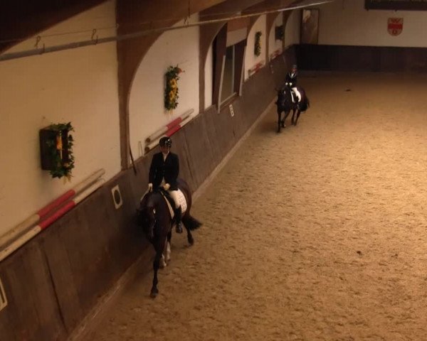 Reitturnier Olfen-Vinnum 2016