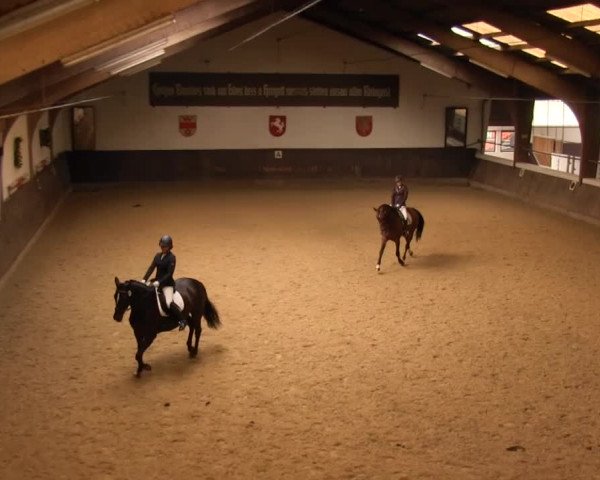 Reitturnier Olfen-Vinnum 2016