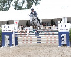 jumper DSP Celebidache (German Sport Horse, 2013, from Cellestial)