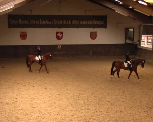 Reitturnier Olfen-Vinnum 2016