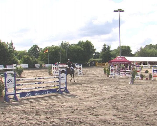 Reitturnier Tangstedt/Pinneberg 2016