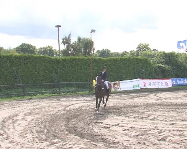 Reitturnier Tangstedt/Pinneberg 2016