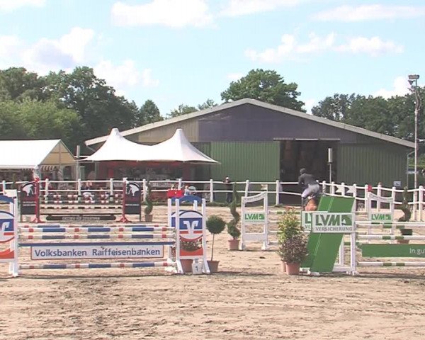 Reitturnier Tangstedt/Pinneberg 2016