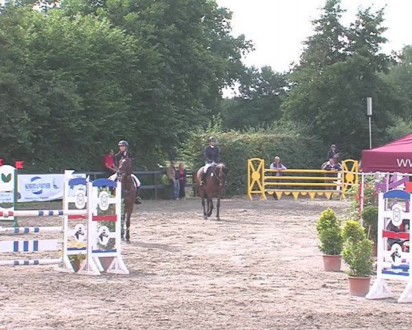 Reitturnier Tangstedt/Pinneberg 2016