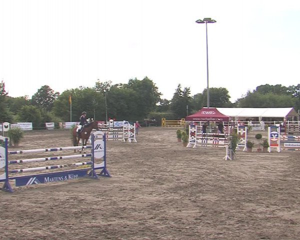 Reitturnier Tangstedt/Pinneberg 2016