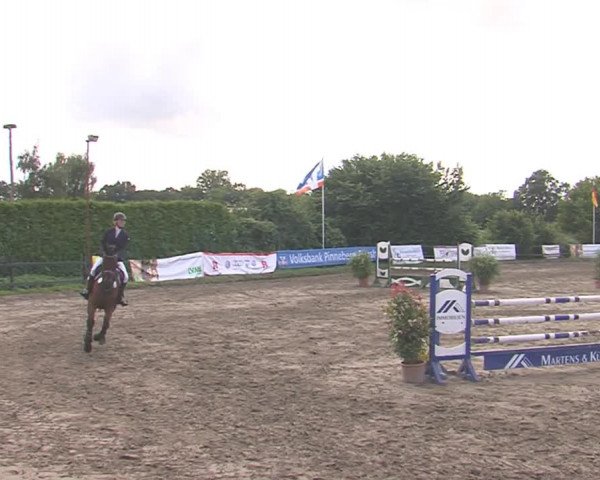 Reitturnier Tangstedt/Pinneberg 2016