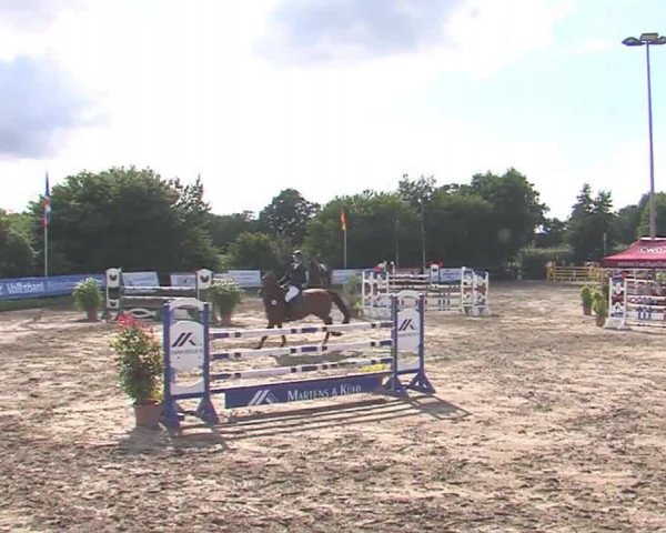 Reitturnier Tangstedt/Pinneberg 2016