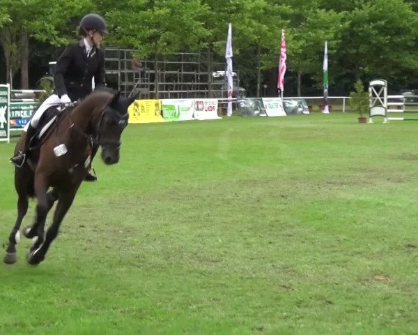 Reitturnier Zobbenitz 2016