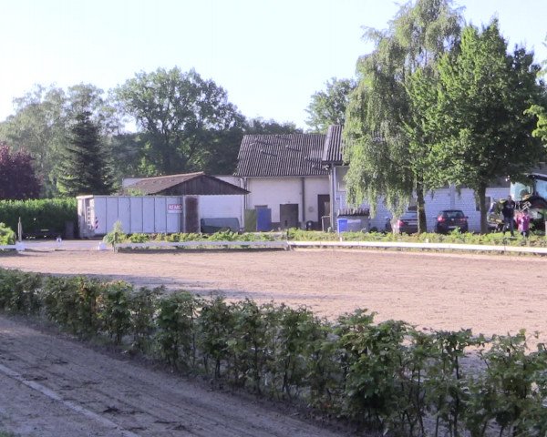 Reitturnier Olfen-Vinnum 2016