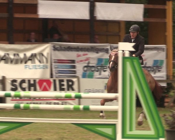 Reitturnier Petershagen-Eldagsen 2016