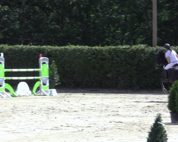 Reitturnier Olfen-Vinnum 2016