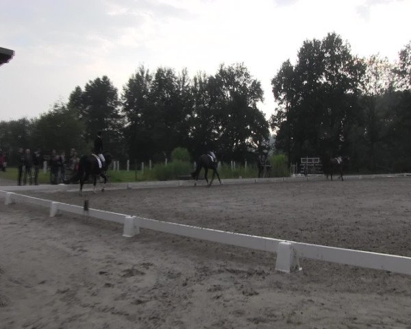 Reitturnier Olfen-Vinnum 2016