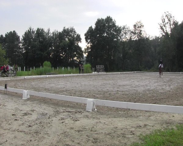 Reitturnier Olfen-Vinnum 2016