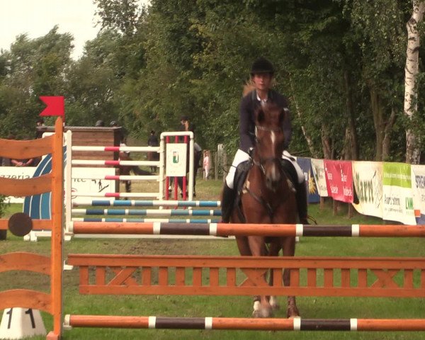 Reitturnier Petershagen-Eldagsen 2016
