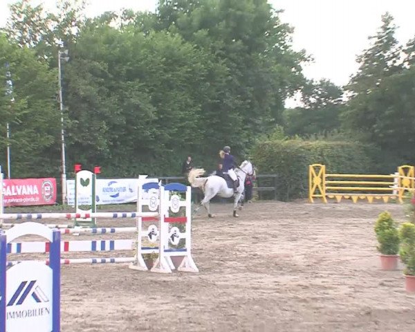Reitturnier Tangstedt/Pinneberg 2016