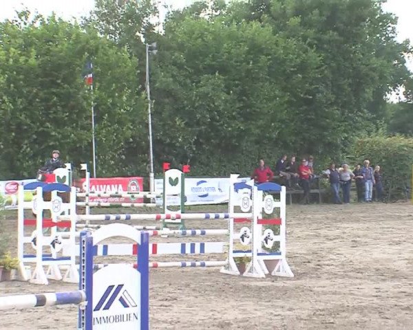 Reitturnier Tangstedt/Pinneberg 2016