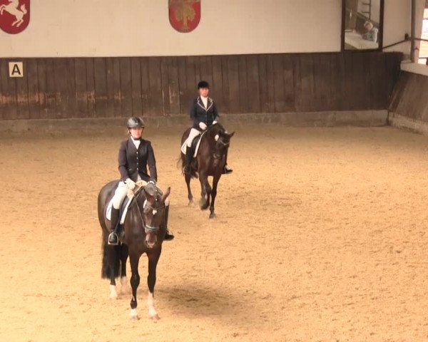 Reitturnier Olfen-Vinnum 2016