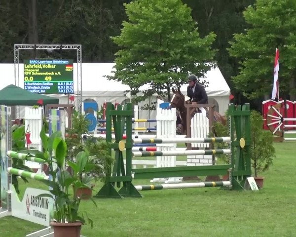 Reitturnier Zobbenitz 2016