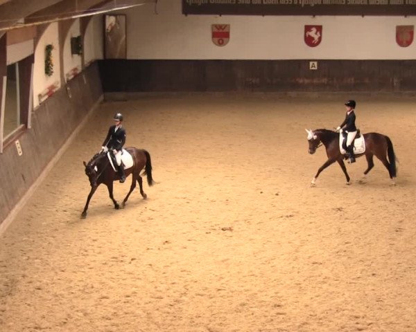 Reitturnier Olfen-Vinnum 2016
