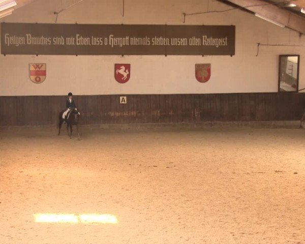 Reitturnier Olfen-Vinnum 2016
