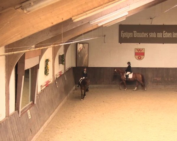 Reitturnier Olfen-Vinnum 2016