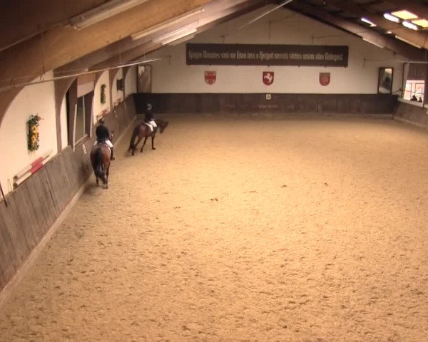 Reitturnier Olfen-Vinnum 2016