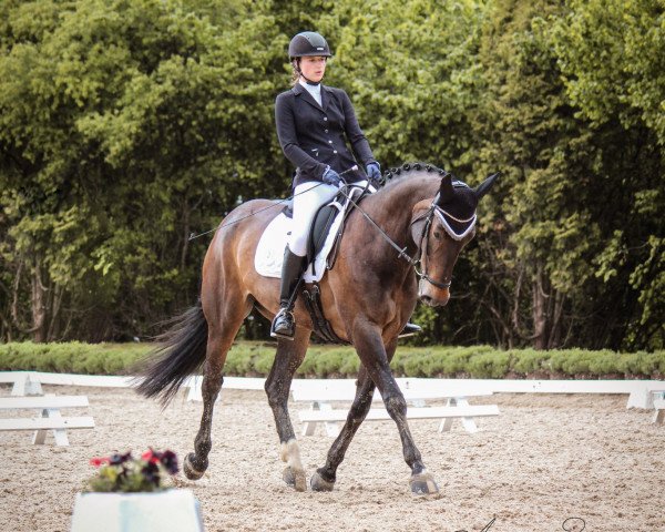 broodmare Fantastique 17 (Rhinelander, 2009, from Flatley 2)